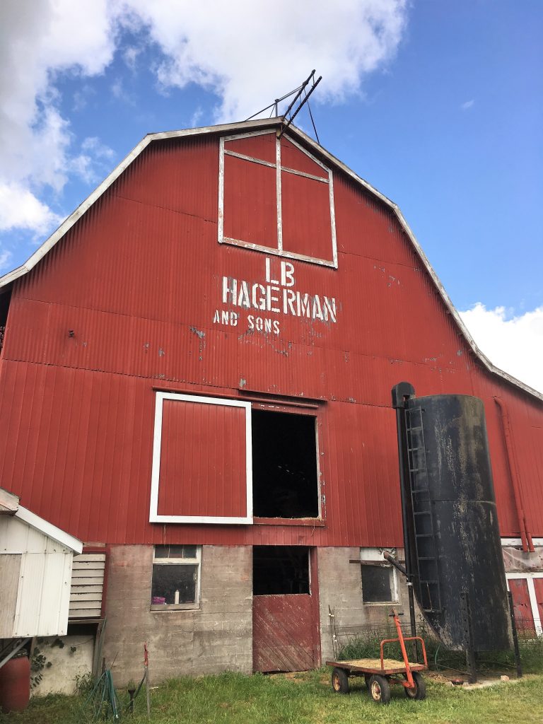 Hagerman Farms Picton PEC the BREL team Prince Edward County Real